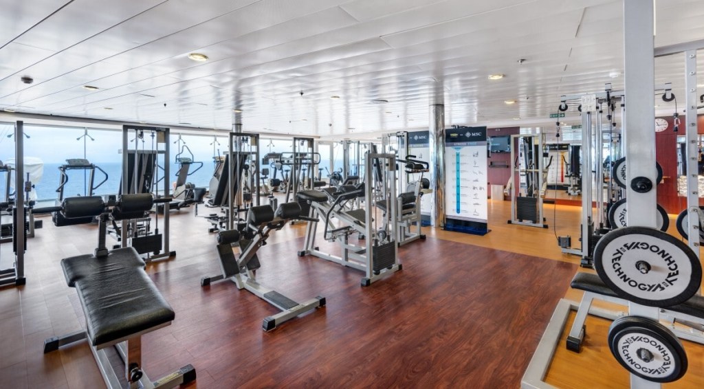 Picture of: Cruise Ship Gyms: Cost, Opening Times, and Other Things You NEED