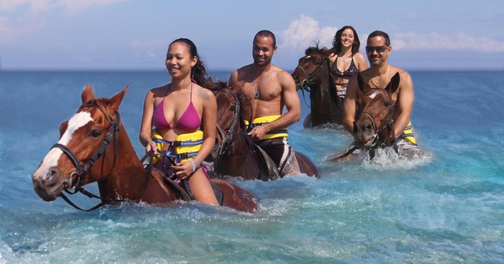 Picture of: Horseback Ride ‘N’ Swim & Beach at Ocean Outpost – MTB Shore