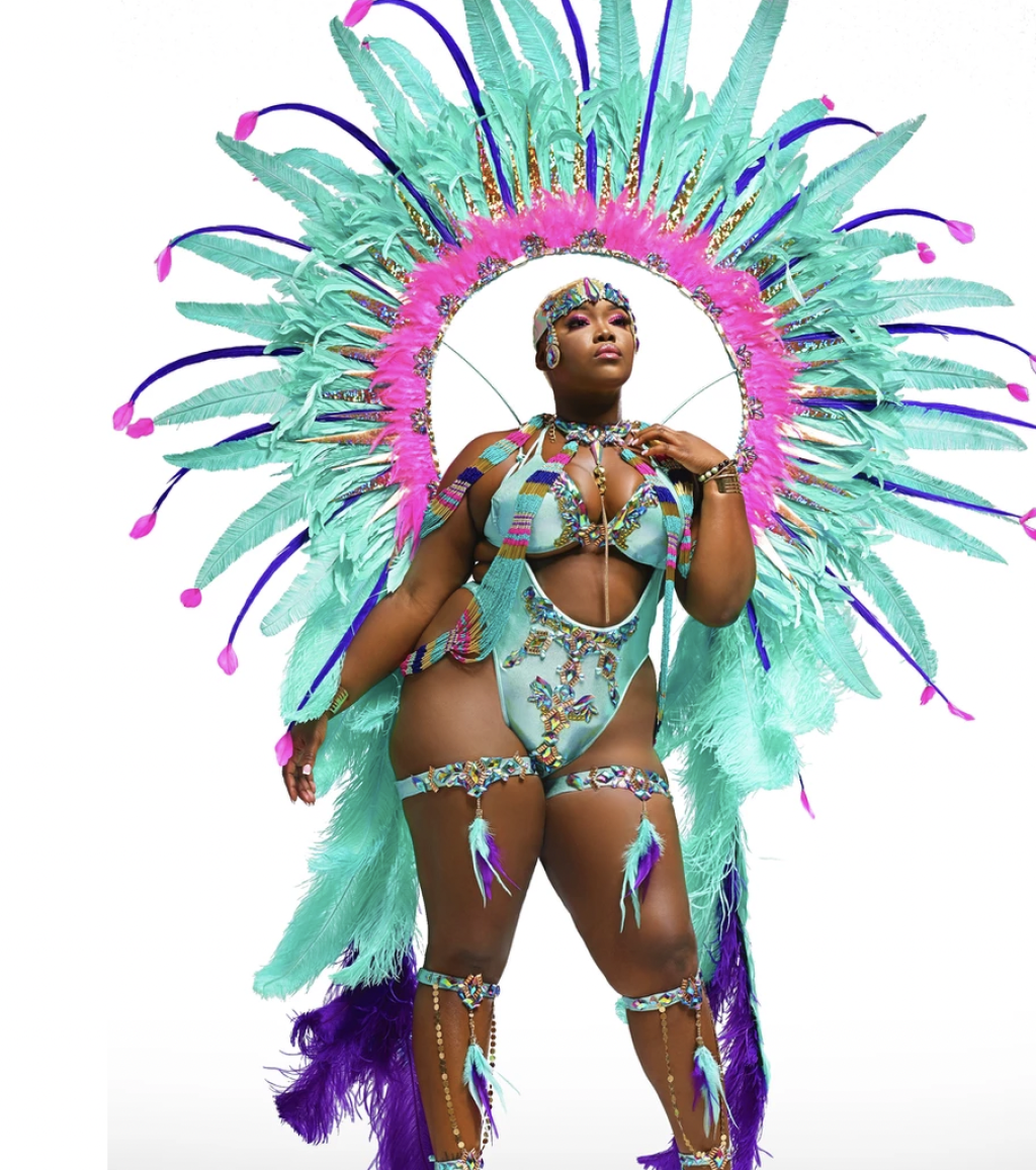 Picture of: Plus Size Carnival Costumes  AWM